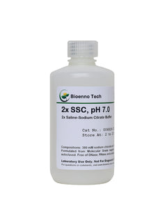 2x SSC (pH 7.0)