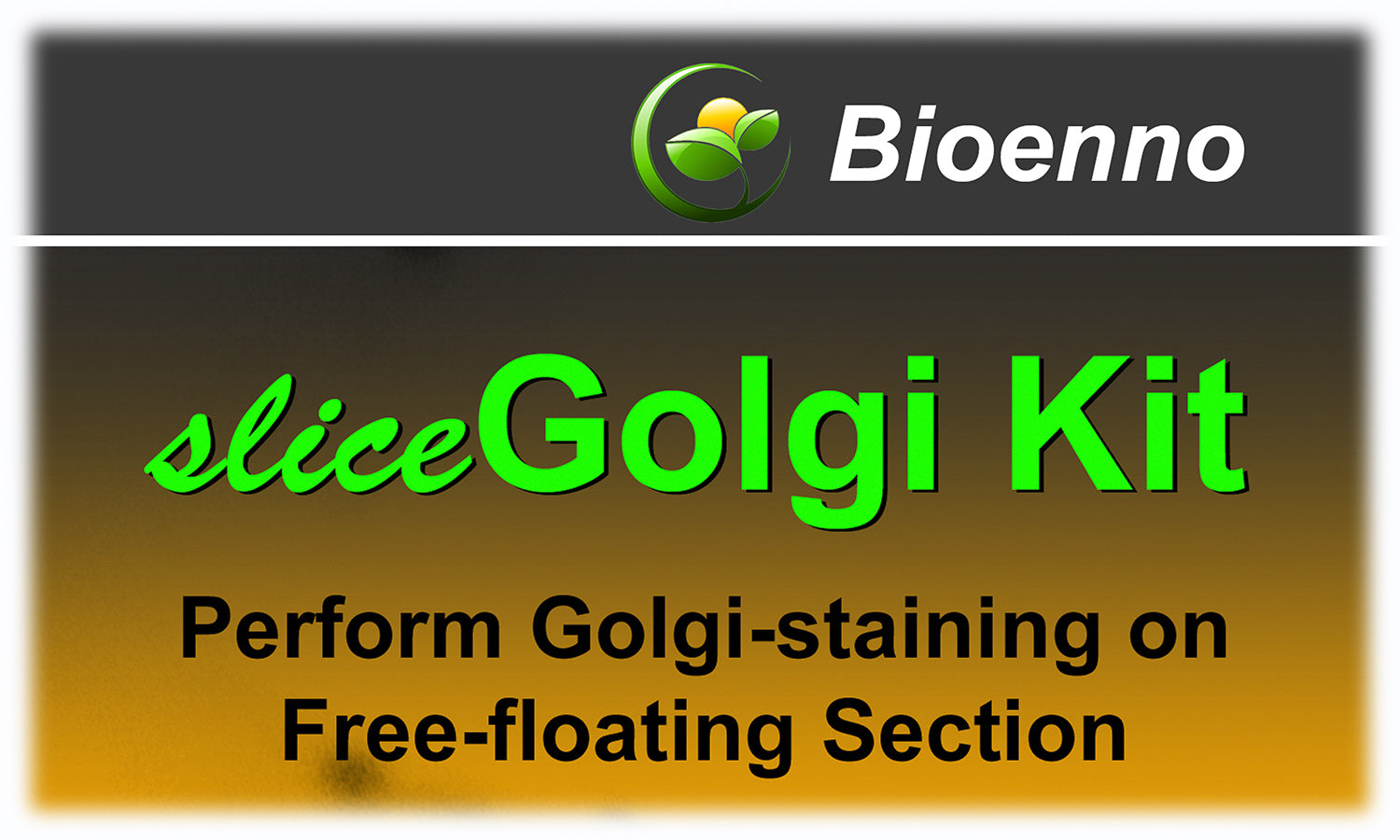 Golgi Kits – Bioenno Lifesciences